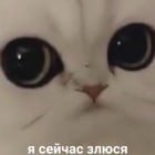 ПРИТОН