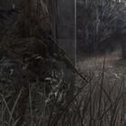 Rifle
