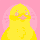 Lil Ducks
