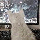 anger issues