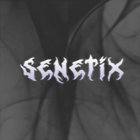 Senetix