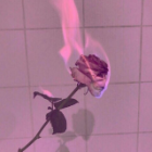 Side of evil