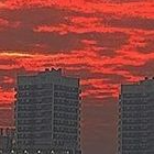 малыши ваймворлда