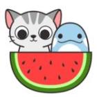 WaterMelonS