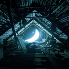 moonlit night