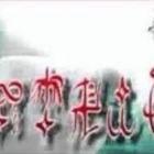 УличныеКоты