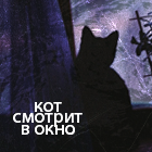 С котом в подъезде