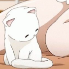 Коти