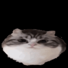 setsunai