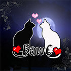 Black_and_white_CATS
